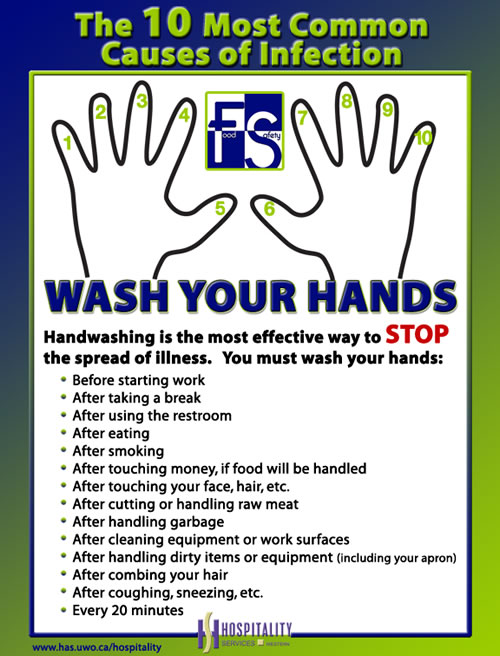 Wash your hands - Before starting work, after taking a break, after using the restroom, after eating, after smoking, after touching money, if food will be handled, after touching your face, hair etc., after cutting or handling raw meat, after handling garbage, after cleaning equipment or work surfaces, after handling dirty items or equipment, after combing your hair, after coughing, sneezing, etc., every 20 minutes 